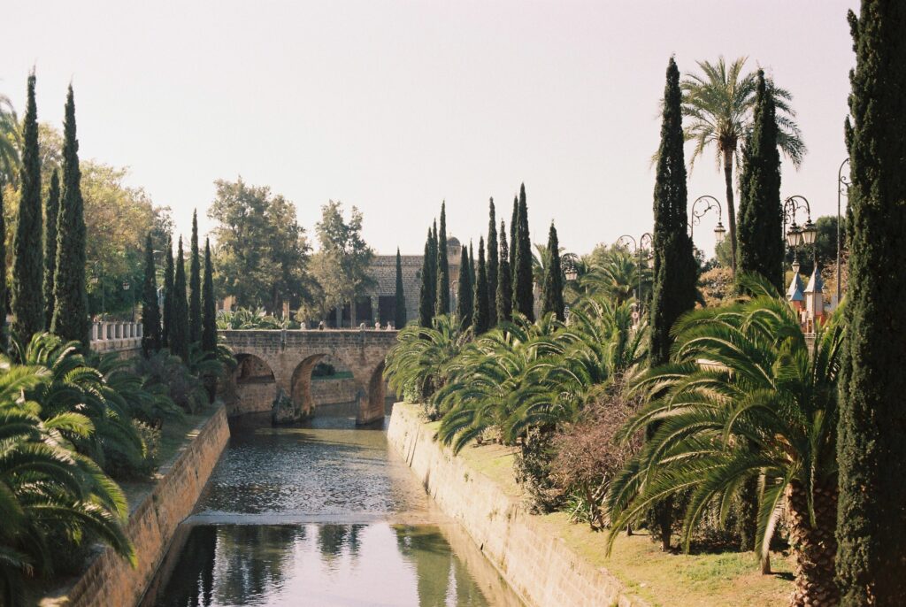 Analog photograph from Mallorca 2019 by Flora Amalie 