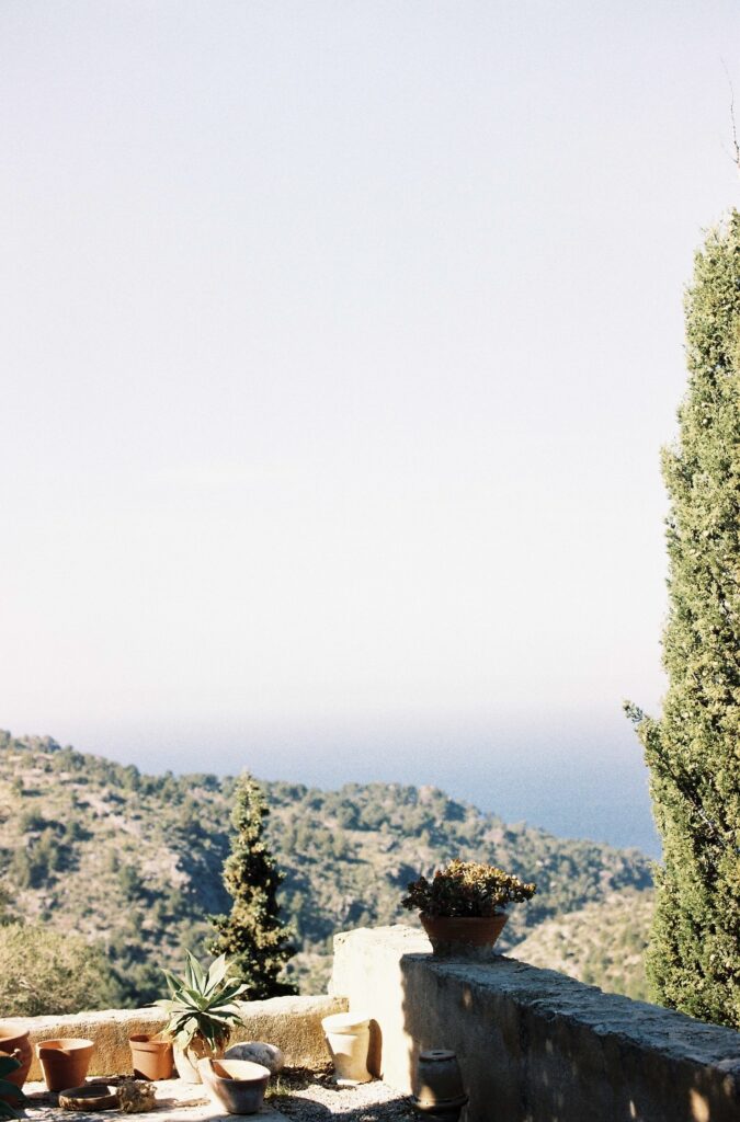 Analog photograph from Mallorca 2019 by Flora Amalie 