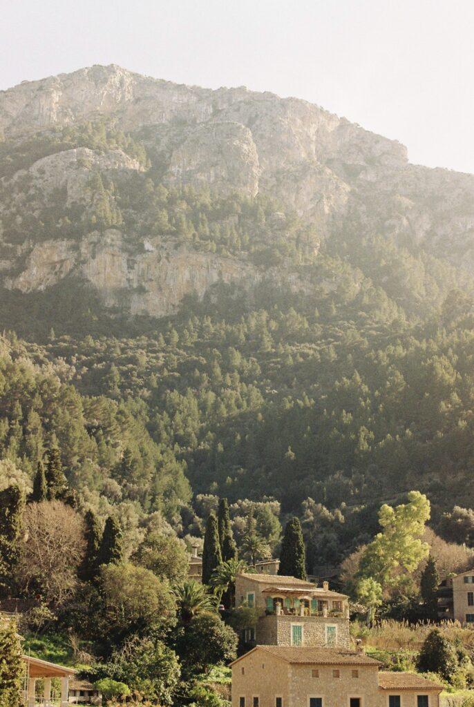 Analog photograph from Mallorca 2019 by Flora Amalie 