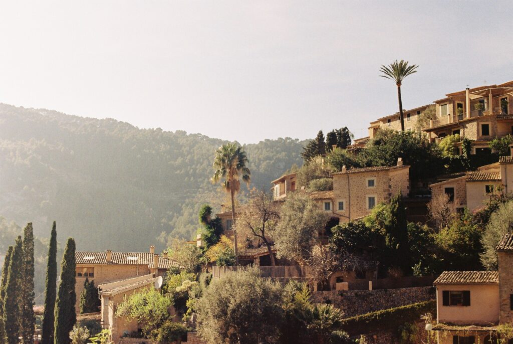 Analog photograph from Mallorca 2019 by Flora Amalie 